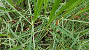 venta de casas en Denver